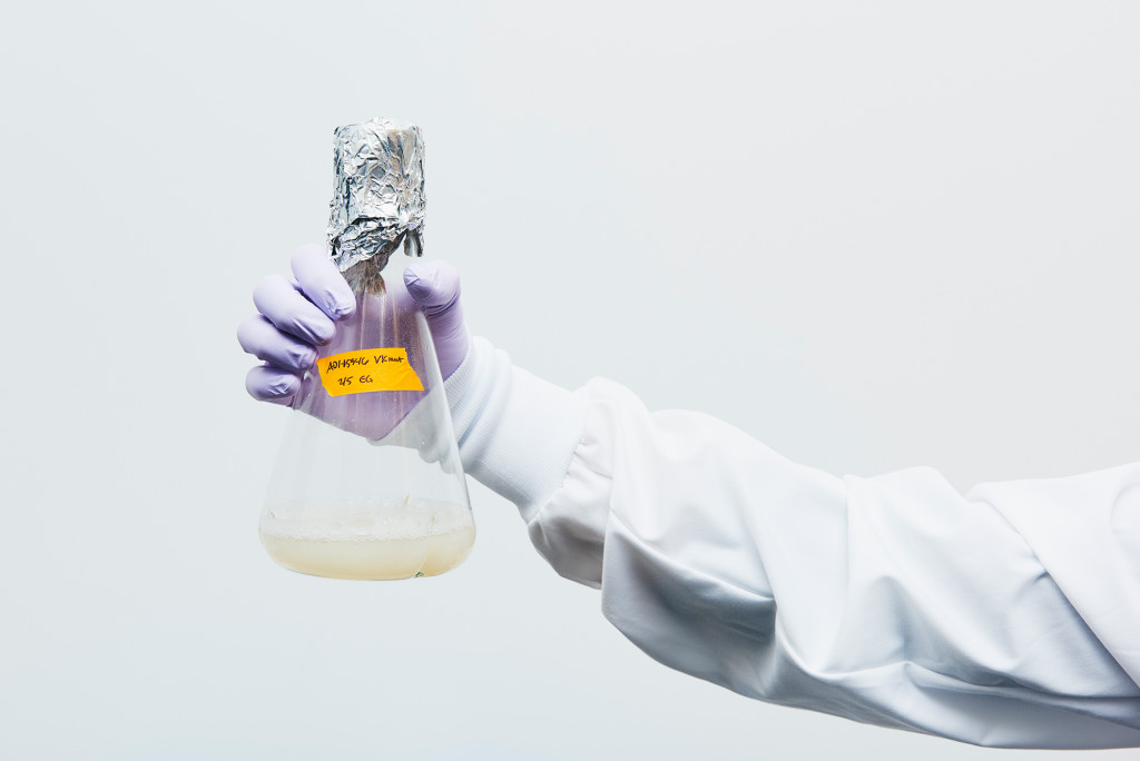 Laura Walker, senior scientist, holds a flask containing billions of yeast antibodies. TONY LUONG FOR WIRED